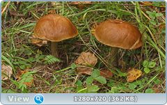 0_ef6a3_2804bfe8_orig.png