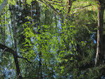 0_91488_f2c2e511_S.jpg