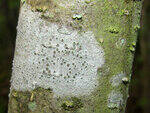 0_914aa_b820b51_S.jpg