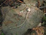 0_8cd87_8d242a97_S.jpg