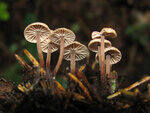 0_8bb75_77da9527_S.jpg
