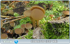 0_e9572_675497ce_orig.png