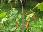0_93301_1d03eeb3_S.jpg