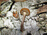 0_8bb83_16ca4042_S.jpg