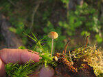 0_8cbec_4f57548f_S.jpg