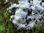 0_8cc12_7064f178_S.jpg