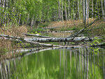 0_9149f_5b673ee7_S.jpg