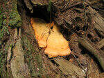 0_8dbf7_d5303105_S.jpg