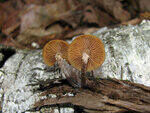 0_8bb81_448cc27f_S.jpg