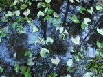 0_92539_263d912e_S.jpg