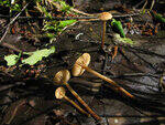 0_8cc24_97e37849_S.jpg