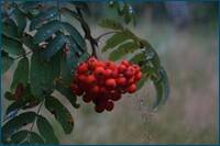0_d5e0b_3757c4e5_orig.jpg
