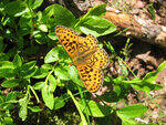 0_93307_a2048be8_S.jpg