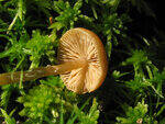 0_8deb0_62b540ce_S.jpg