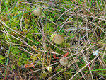 0_8deb5_86102557_S.jpg