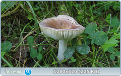 0_e9398_e7856a59_orig.png