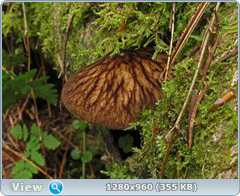 0_eb056_974c2189_orig.png