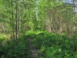 0_92542_c0f92ace_M.jpg