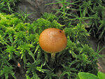 0_8deae_b9498456_S.jpg