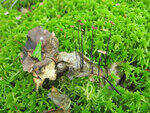 0_8ded7_b2577cf1_S.jpg