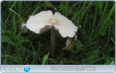 0_e6bc3_7cd9795e_orig.png
