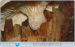 0_e6a34_53e91960_orig.png