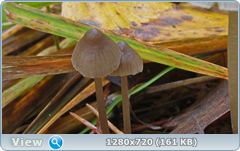 0_f3037_c46006fd_orig.png
