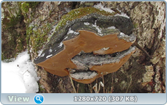 0_fb60d_d29a1ad9_orig.png