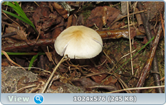 0_e7812_54095431_orig.png