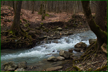 0_e0051_164be51b_orig.png