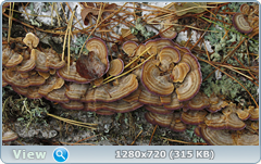 0_fc56b_b49eb748_orig.png