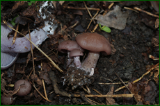 0_e1de0_9054631d_orig.png