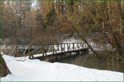0_1196f6_b43e508_orig.png