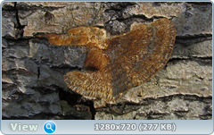 0_fc558_977f3aef_orig.png