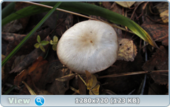 0_fc767_fa18a4f9_orig.png