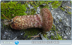 0_fb886_d54959e3_orig.png