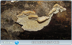 0_f6dea_7b0971e7_orig.png