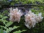 0_84431_1d68b6c5_S.jpg