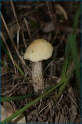 0_d0966_5224caad_orig.jpg