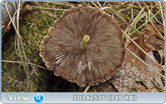 0_e7810_5adf1146_orig.png