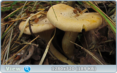 0_e9ad3_c91d3b08_orig.png