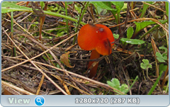 0_eb072_fa91c0b3_orig.png