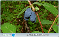 0_e7869_61e9f14_orig.png