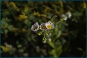 0_d245e_65a393a4_orig.jpg