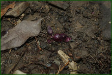0_e0061_1a40b37a_orig.png