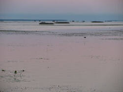0_9c761_b4c5995d_M.jpg