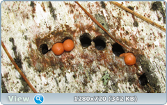 0_e586f_75ee478b_orig.png