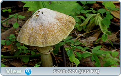 0_f0181_36c3c19_orig.png