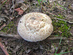 0_6db2d_ba6622c_S.jpg