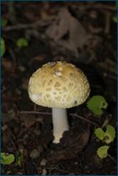 0_d093e_3e001187_orig.jpg